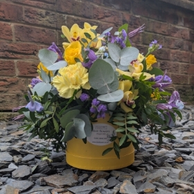 Spring  Hatbox